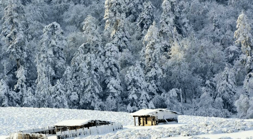 格拉丹--冰雪奇缘般的奇幻世界(图15)