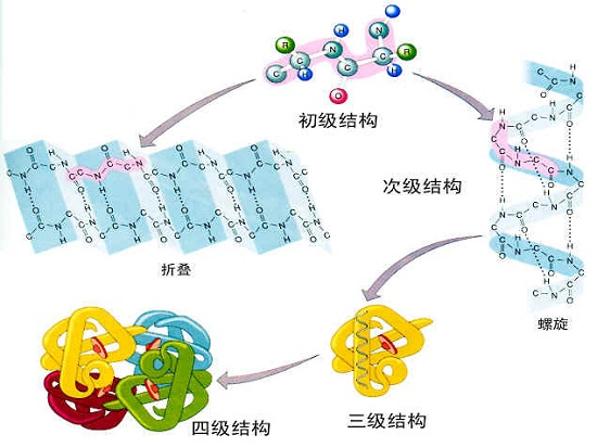 露营之家运动营养系列讲座(图2) 露营之家运动营养系列讲座(图2)