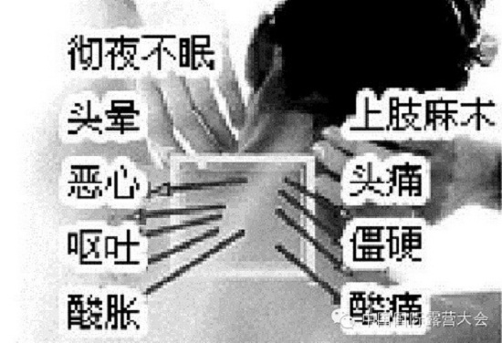露营之家运动损伤与康复系列讲座(图5) 露营之家运动损伤与康复系列讲座(图5)