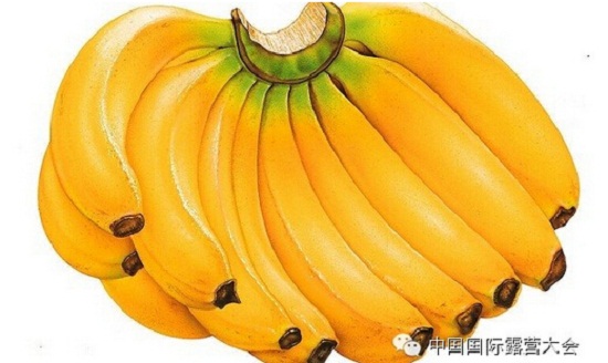 露营之家运动营养系列讲座(图5) 露营之家运动营养系列讲座(图5)