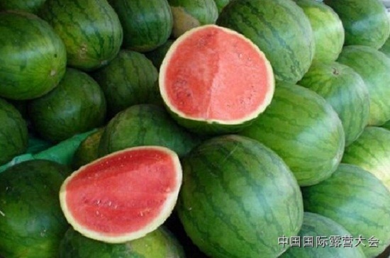 露营之家运动营养系列讲座(图6) 露营之家运动营养系列讲座(图6)