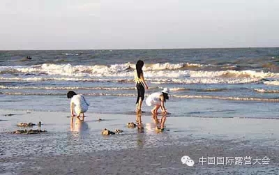 中国国际露营大会——海南万宁,亲,约吗?(图10) 中国国际露营大会——海南万宁,亲,约吗?(图10)