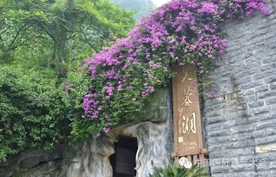 露营之家及中国国际露营大会重庆地区指定接待营地——重庆武隆仙女山全体育户外营地(图8) 露营之家及中国国际露营大会重庆地区指定接待营地——重庆武隆仙女山全体育户外营地(图8)