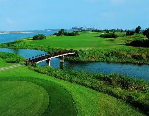 欢乐节·露博会——海南准备好了(图14) 欢乐节·露博会——海南准备好了(图14)
