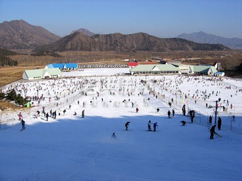 滑雪带动周边行业发展 装备市场“内冷外热”(图1) 滑雪带动周边行业发展 装备市场“内冷外热”(图1)