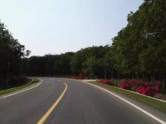 春风十里，不及“三月三”开着房车来白沙露营的你！(图3)