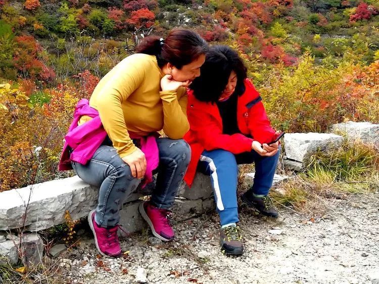 中国露营之家山西超越梦想徒步俱乐部周末休闲徒步岳家寨活动圆满结束！(图41)