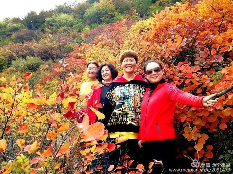 中国露营之家山西超越梦想徒步俱乐部周末休闲徒步岳家寨活动圆满结束！(图40)
