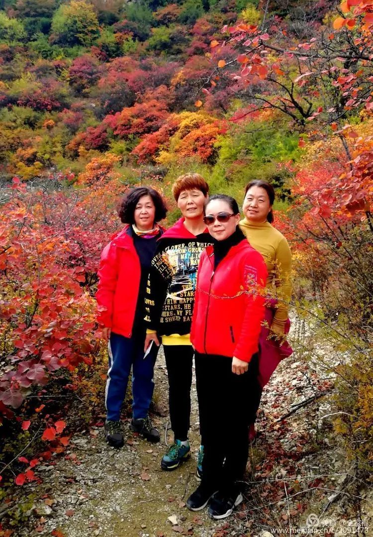 中国露营之家山西超越梦想徒步俱乐部周末休闲徒步岳家寨活动圆满结束！(图38)