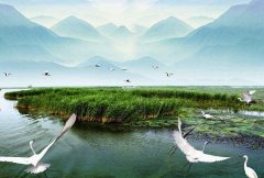 东平湖