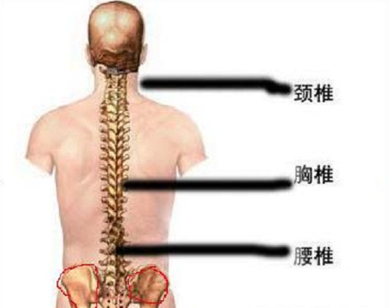 露营之家运动损伤与康复系列讲座之教你如何护腰(图2) 露营之家运动损伤与康复系列讲座之教你如何护腰(图2)