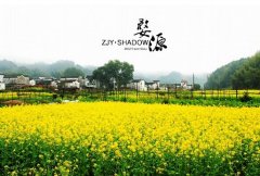 婺源油菜花盛花期将至 自驾游路况需注意