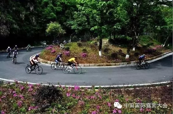 奥迪2015中国国际露营大会海南万宁站亮点“十”足(图5) 奥迪2015中国国际露营大会海南万宁站亮点“十”足(图5)