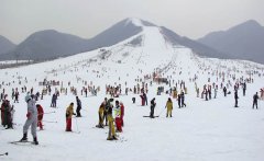 2015-2016雪季：政府推动效果初步显现