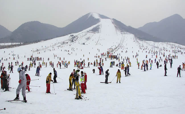 2015-2016雪季:政府推动效果初步显现(图1) 2015-2016雪季:政府推动效果初步显现(图1)