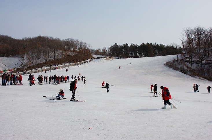 张家口:年内建设4座滑雪场5座滑冰场馆
