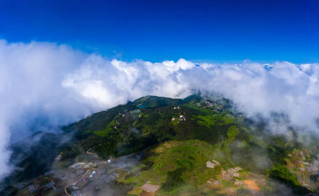 中国国际露营大会落地金华山，谱写露营大会新篇章，再创露营行业新辉煌(图15)