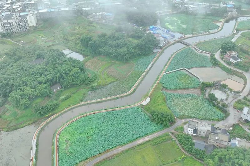 2024第六届江安大妙荷花山地自行车赛圆满举行(图24)