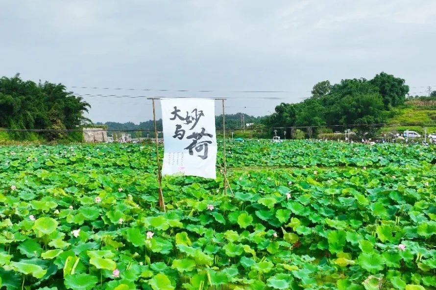 2024第六届江安大妙荷花山地自行车赛圆满举行(图25)