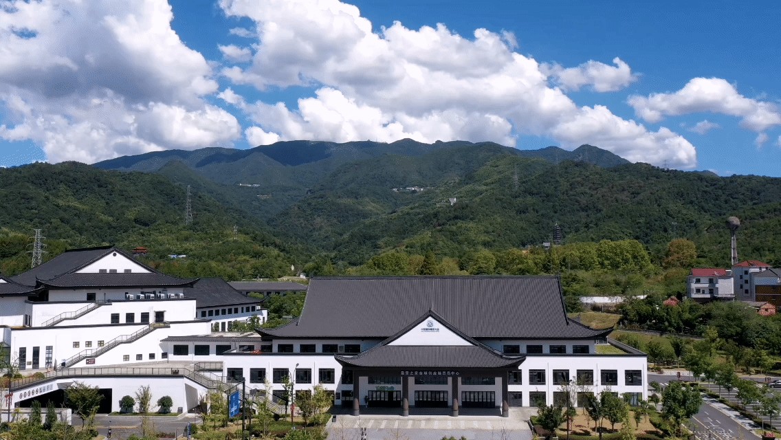 金华山露营热潮：品质户外生活与自然生态共鸣的成果转化(图1)
