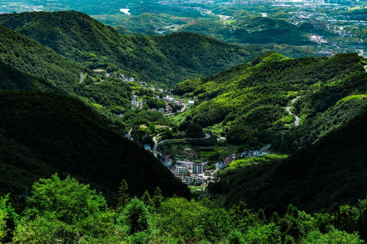 百色市人民政府一行莅临露营之家供应链贸易中心—— 共商服务产业落地及场景化应用(图2)