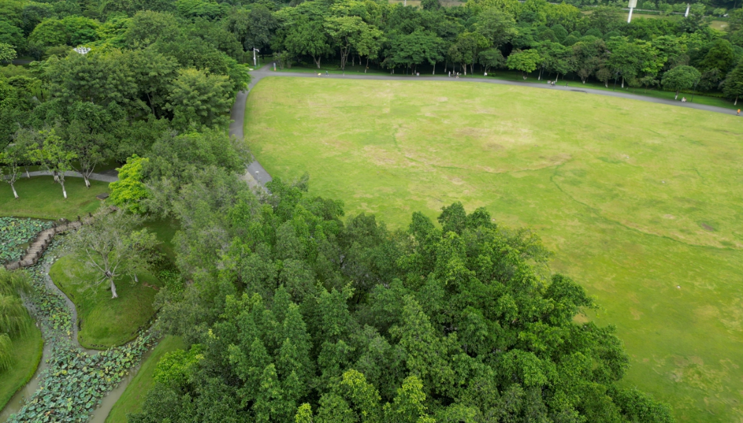 广西旅发大会向东部区发出邀请,东西部携手在百色山水间奔赴户外经济新征程(图6) 广西旅发大会向东部区发出邀请,东西部携手在百色山水间奔赴户外经济新征程(图6)