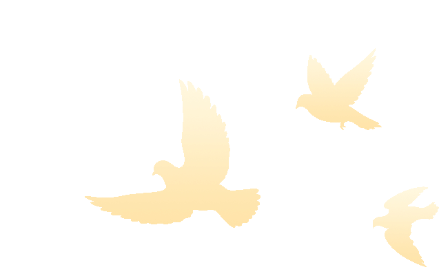 广西旅发大会向东部区发出邀请,东西部携手在百色山水间奔赴户外经济新征程(图8) 广西旅发大会向东部区发出邀请,东西部携手在百色山水间奔赴户外经济新征程(图8)