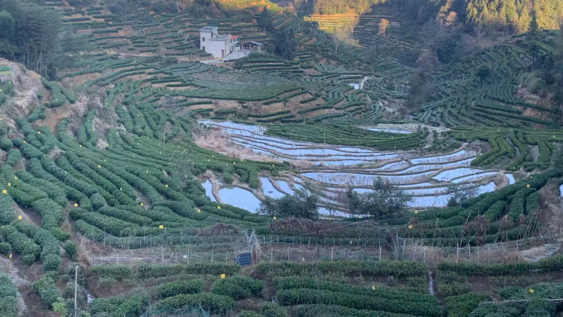 张明治率团队调研遂川，开展左安镇筑峰顶露营基地项目及遂川全域旅游运营策划工作(图10)