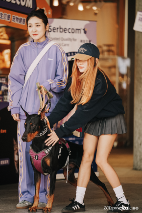 跨界新场景,消费新体验 | “撒欢集”人宠露营活动在深圳成功举办,奏响“三新生活”序章(图16) 跨界新场景,消费新体验 | “撒欢集”人宠露营活动在深圳成功举办,奏响“三新生活”序章(图16)