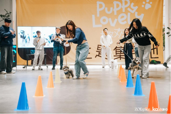 跨界新场景,消费新体验 | “撒欢集”人宠露营活动在深圳成功举办,奏响“三新生活”序章(图23) 跨界新场景,消费新体验 | “撒欢集”人宠露营活动在深圳成功举办,奏响“三新生活”序章(图23)