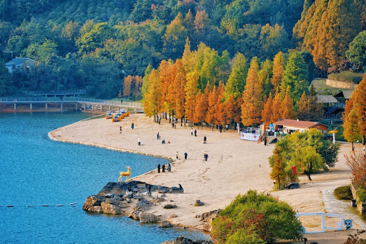 “逐梦金华”女子越野赛在金华山浪漫开跑(图11) “逐梦金华”女子越野赛在金华山浪漫开跑(图11)