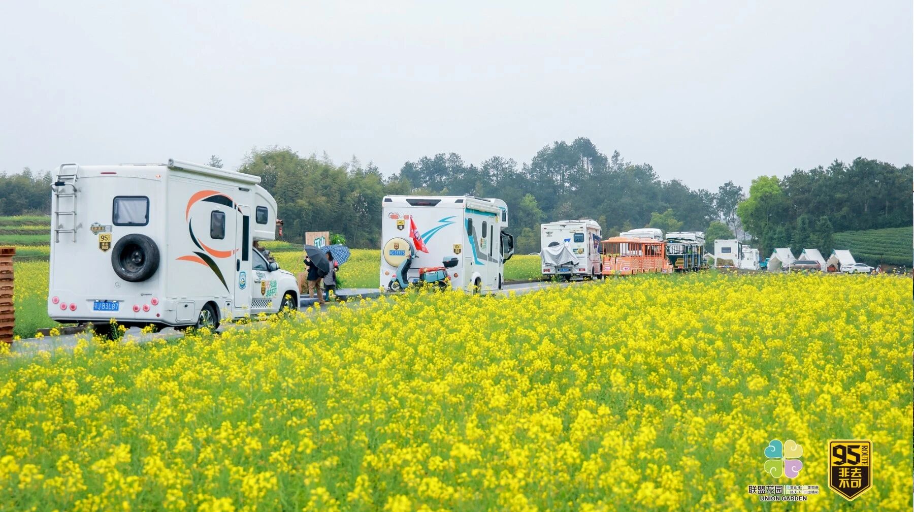 春染95号公路｜中国国际露营大会浙江房车大队执委牵头赴浙赣皖花海之约(图4)