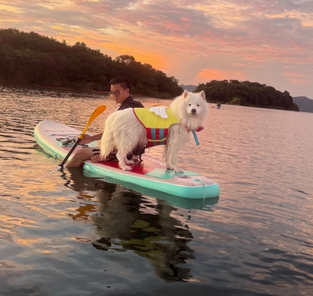 潮宠溜溜户外嘉年华｜2026 中国（金华山）国际露营大会萌宠分会场 正式启幕！(图4)