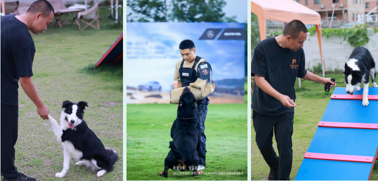 潮宠溜溜户外嘉年华｜2026 中国（金华山）国际露营大会萌宠分会场 正式启幕！(图13)