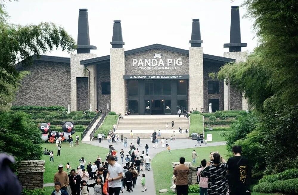 探访友好牧场|熊猫猪猪·两头乌国际牧场 MORE THAN JUST A PIG(图1) 探访友好牧场|熊猫猪猪·两头乌国际牧场 MORE THAN JUST A PIG(图1)