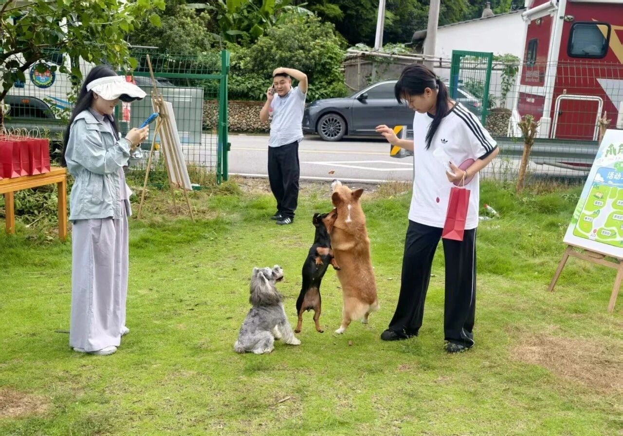 房车邂逅萌宠山野同行 平和乡解锁乡村露营文旅新赛道(图4) 房车邂逅萌宠山野同行 平和乡解锁乡村露营文旅新赛道(图4)