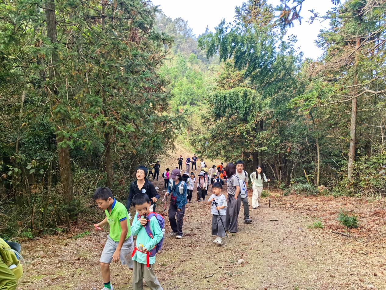 【活动快讯】金华山亲子徒步登山俱乐部活动常态化顺利开展(图3)